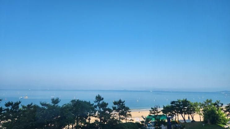 2025년 여름 여행은 보령 대천 파레브호텔에서