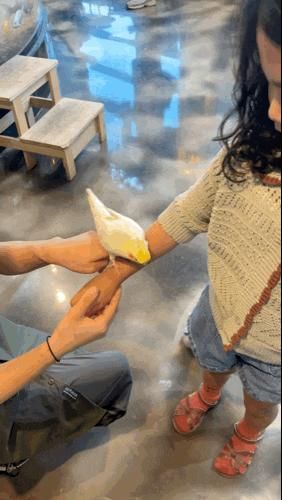체험이 많아서 아이들이 정말 좋아하는 테이블에이 파주점