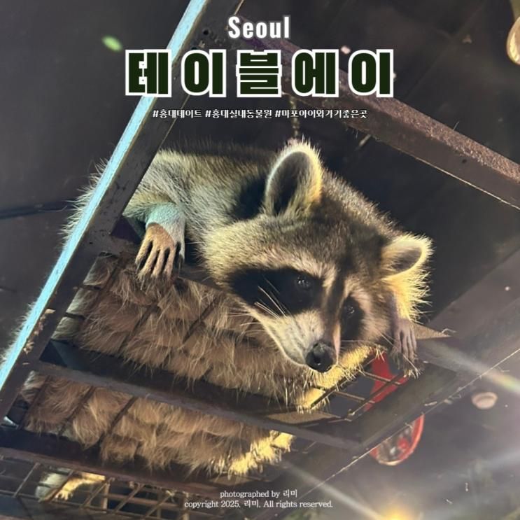 마포 실내 동물원 테이블에이 가족간의 특별한 체험 할수있는 곳