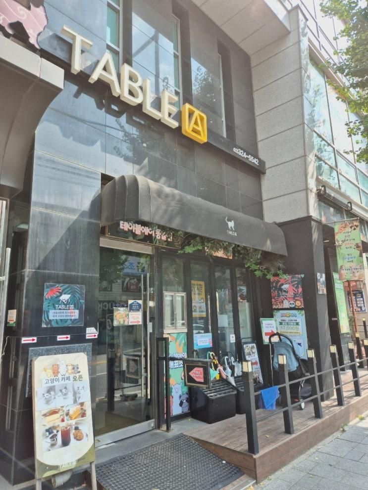 실내동물원 고양이 카페 마포 홍대 이색카페 테이블에이 Table A