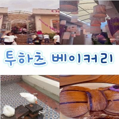 의정부 애견 동반 카페 해리포터 컨셉, 투하츠베이커리