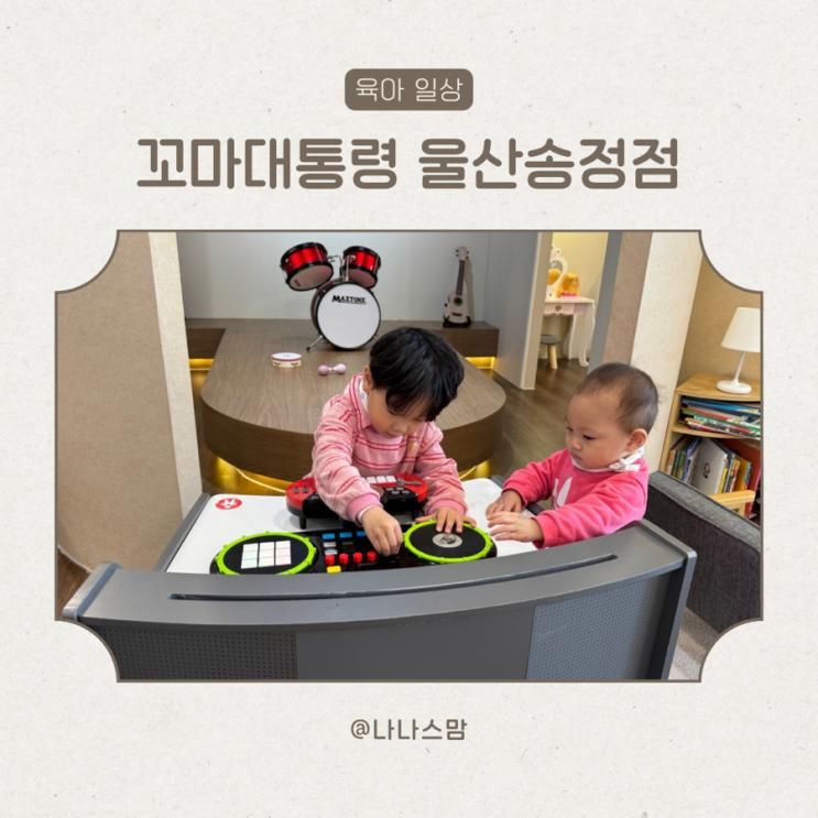울산 북구 키즈카페 꼬마대통령 울산송정점