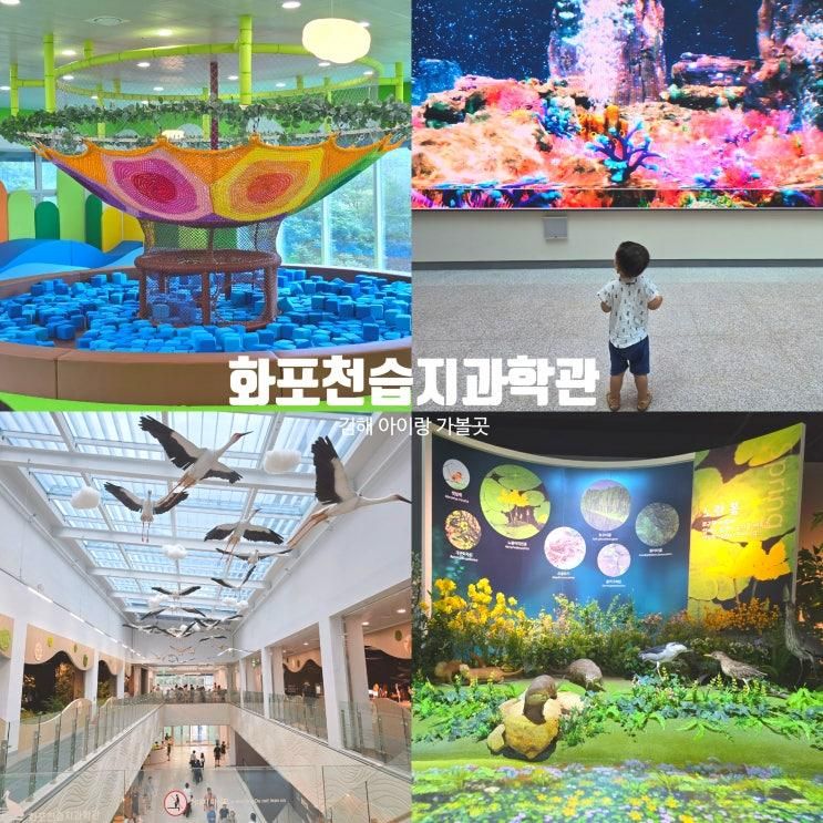 김해 아이랑 가볼만한 곳 실내 놀거리 화포천습지과학관