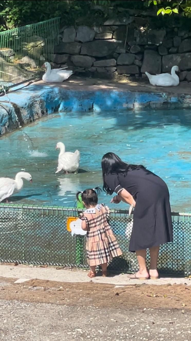 20개월아기랑 데이트, 화순 올라알파카카페