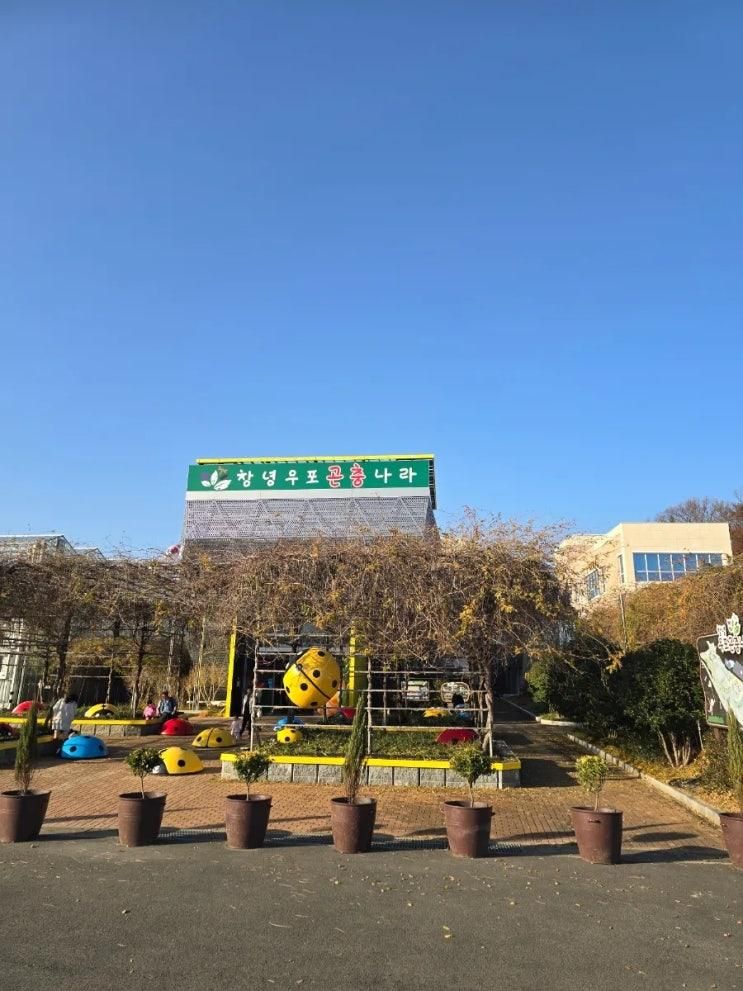 [창녕가볼만한곳]창녕우포곤충나라_체험가득한 곳