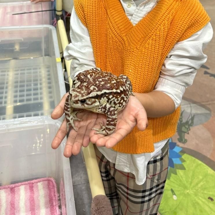 경남 실내 아이랑 가볼 만한 곳 창녕 우포 곤충나라 (곤충체험)