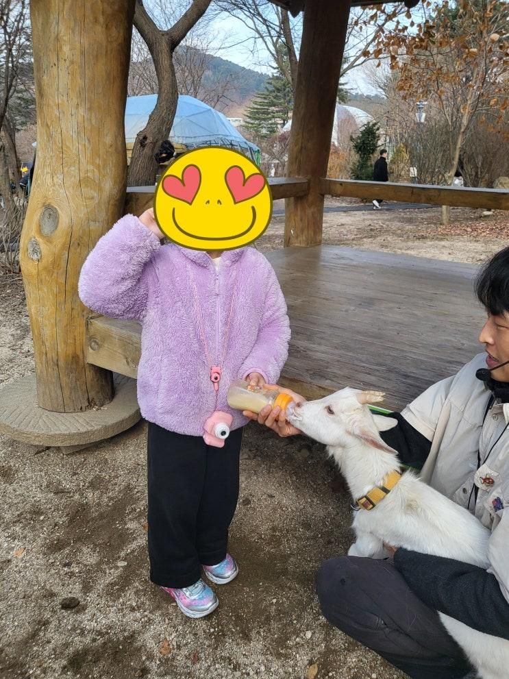 [내돈내산] 가평 아침고요가족동물원 후기｜아이와 먹이주기·아기염소 분유체험까지 알찬 주말 나들이