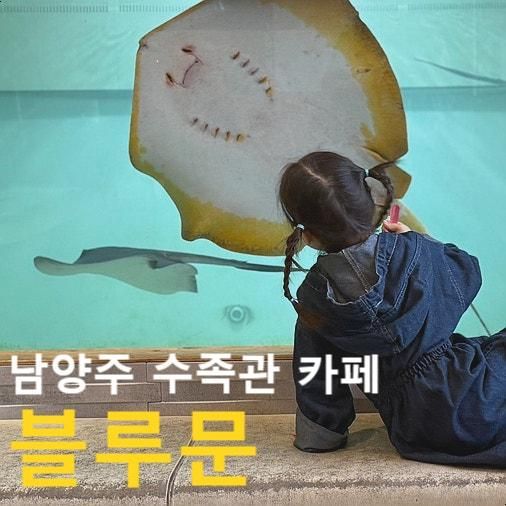 남양주 아쿠아 수족관카페 아이랑 가볼만한 곳 블루문
