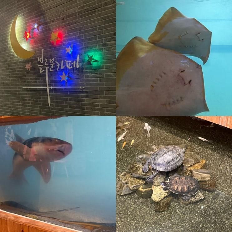 [남양주] 아이들과 방문하기 좋은 이색 카페🐟 블루문