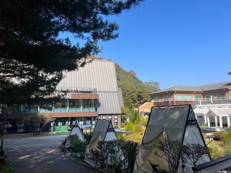광고아닌 이천 대형카페 어바웃네이처 숲속 동물 아이와함께
