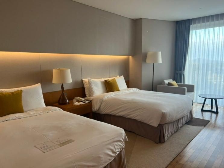 머큐어 앰배서더 제주 가성비 좋은 디럭스룸 후기