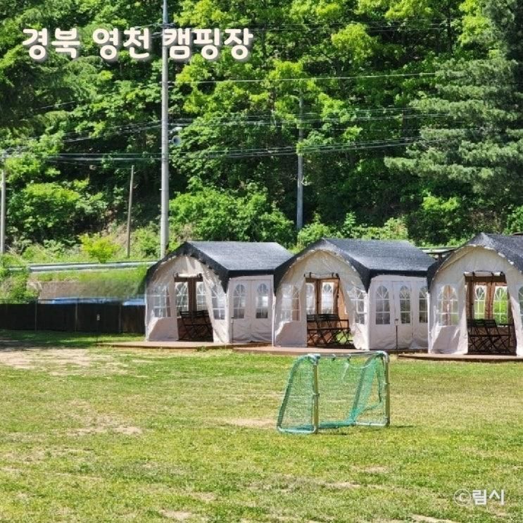 대구 근교 오토 캠핑장 경북 영천 자호천생태학교