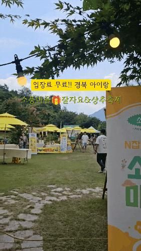 경북 아이랑 주말 나들이 소풍마을 잘자요 상추축제