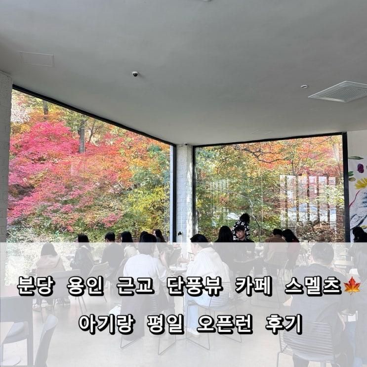 분당 용인 근교 단풍뷰 카페 스멜츠 아기랑 평일 오픈런 후기 | 아기의자, 주차팁 까지