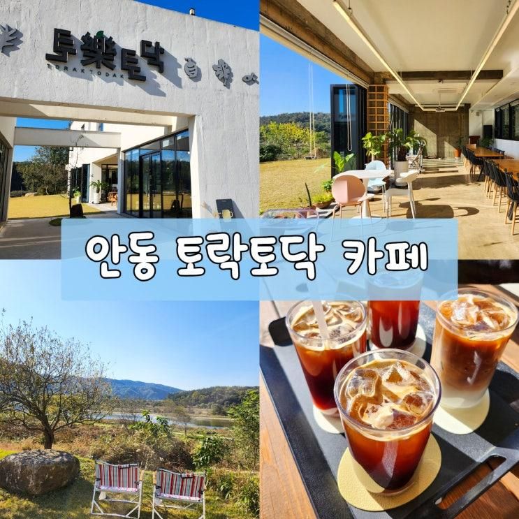 [토樂토닥] 안동 카페형 경관 치유 농장 토락토닥 후기