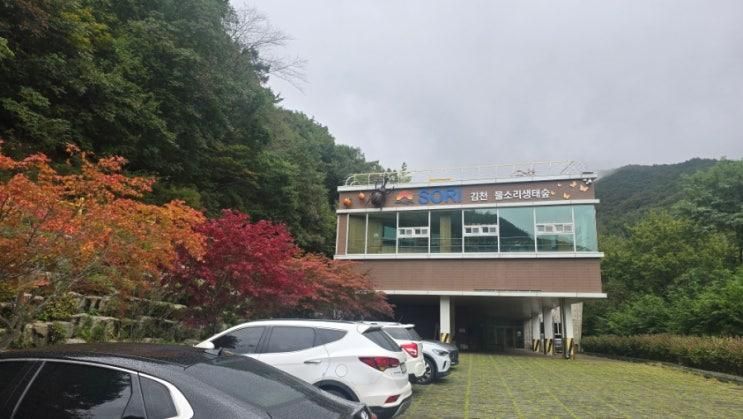 블랙야크 백두대간 김천 석교산
