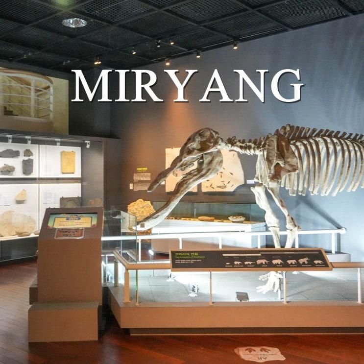 경남 실내 아이와 가볼만한곳 대구 근교 나들이 밀양 시립박물관
