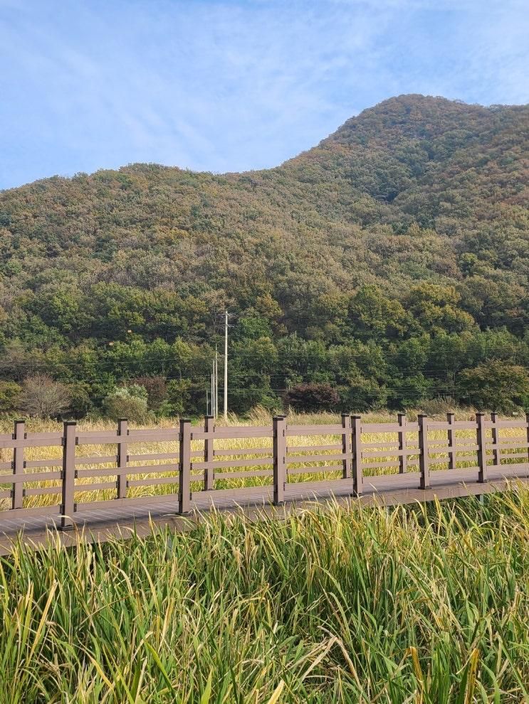 용인 가볼만한곳 길업습지 고요한 차크닉 장소 추천 산책로 포토존 주차장
