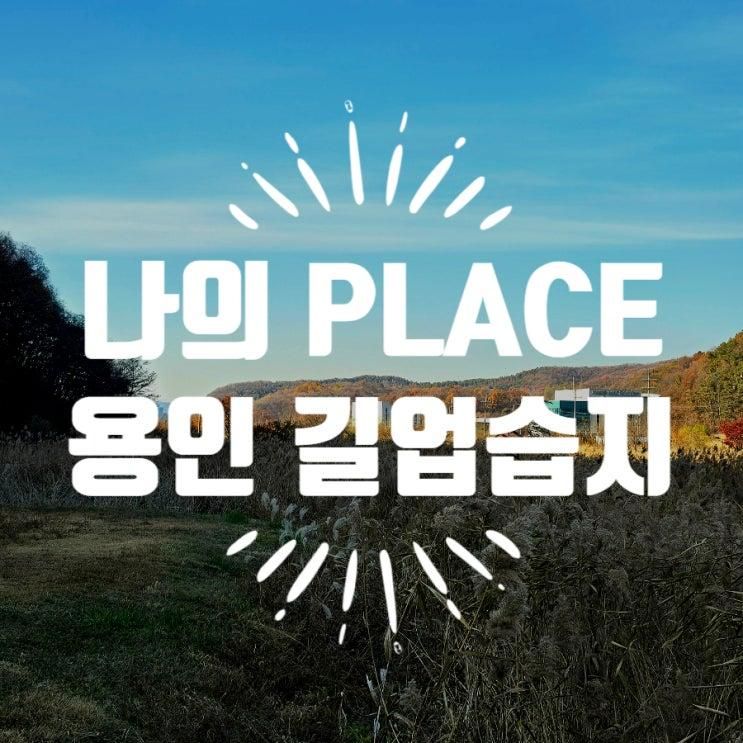 가을 단풍 드라이브 중 발견한 힐링 명소, 용인 길업습지