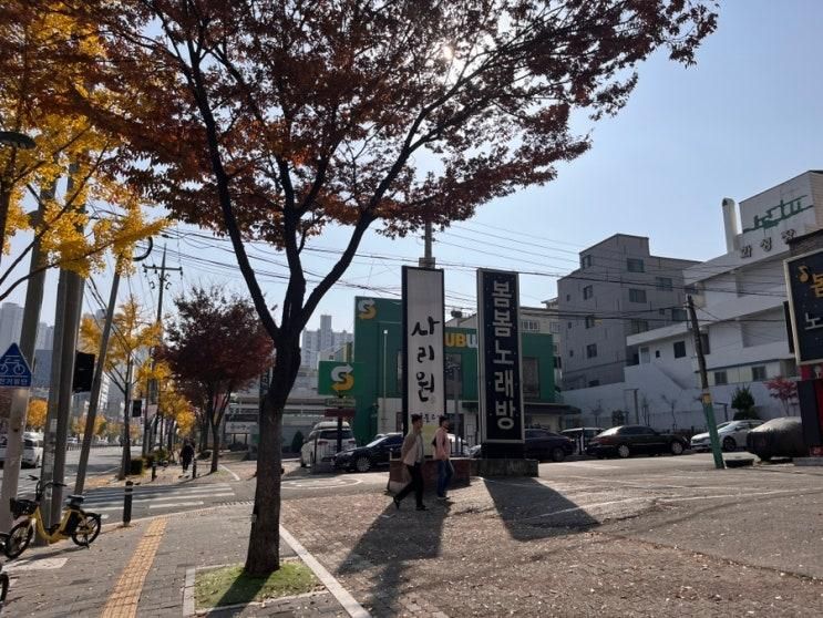 [카페] PIAZZA 피아자