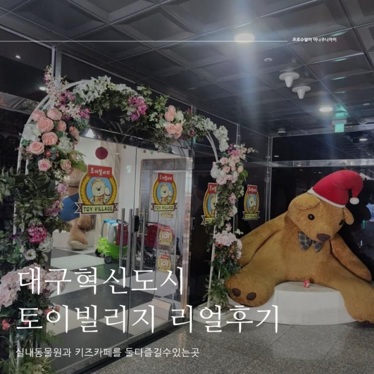 토이빌리지대구혁신점 정보 가격 리얼후기