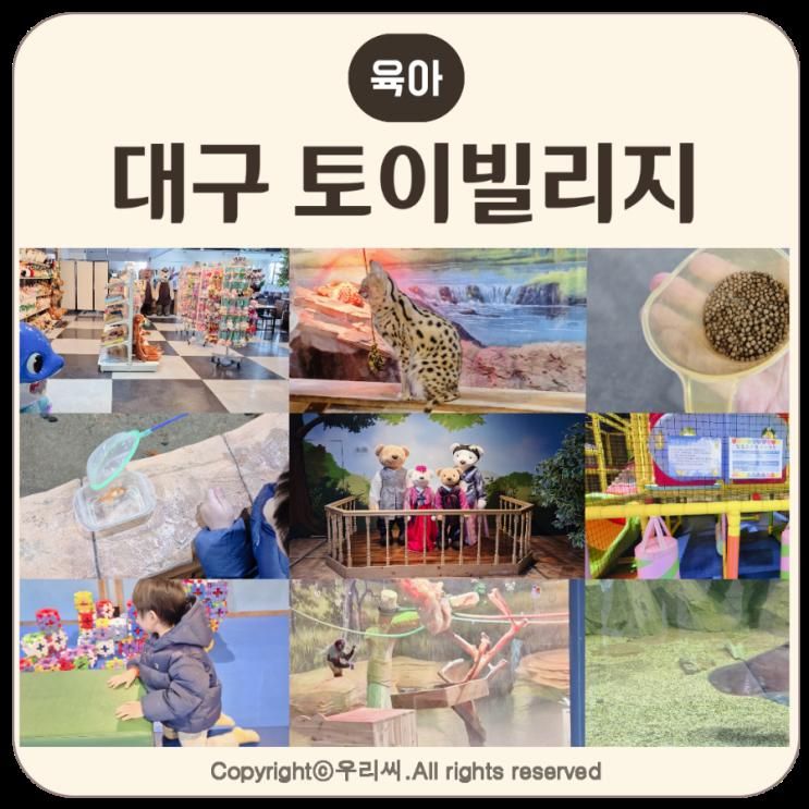 대구 아이랑 가볼만한곳 토이빌리지 실내동물원 키즈카페
