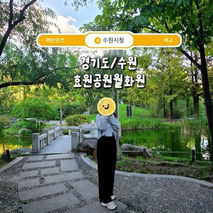 경기도 수원 아이와 가볼만한 곳 단풍 명소 나혜석거리 효원공원 월화원 데이트코스로 제격