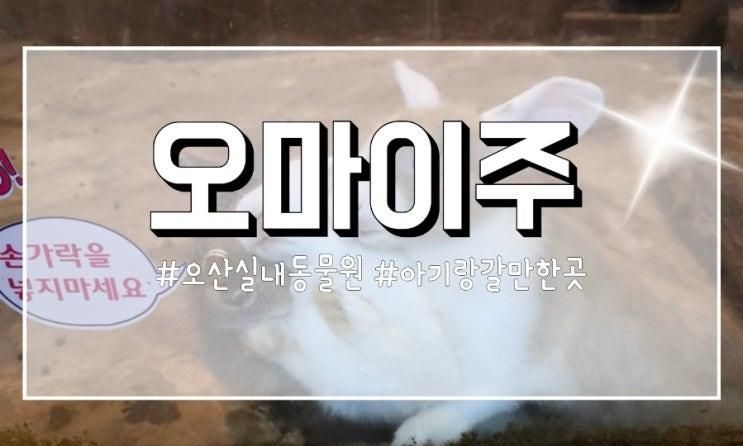 오산 아기랑 갈만한곳 |  실내동물원 오마이주 내돈내산 후기 24개월만무료