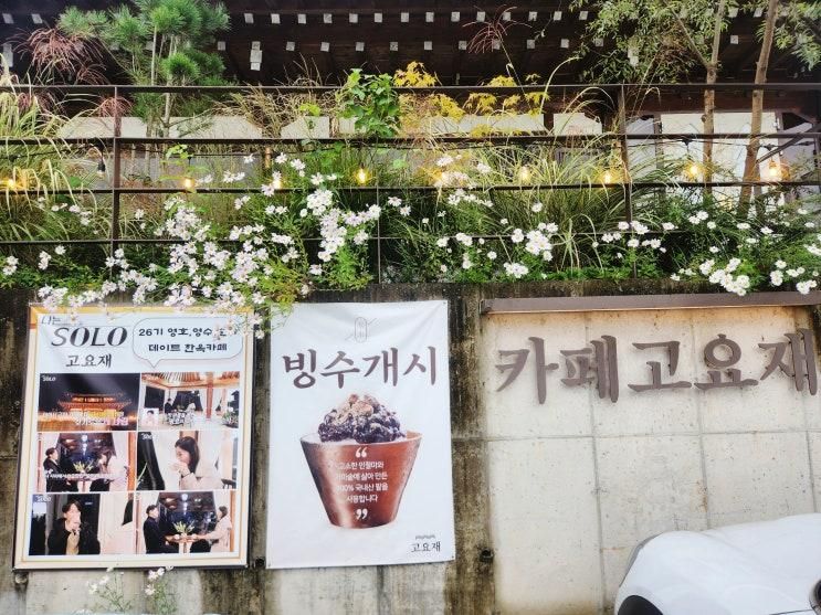 [가평] 애견 동반 카페 추천! 카페 고요재 후기