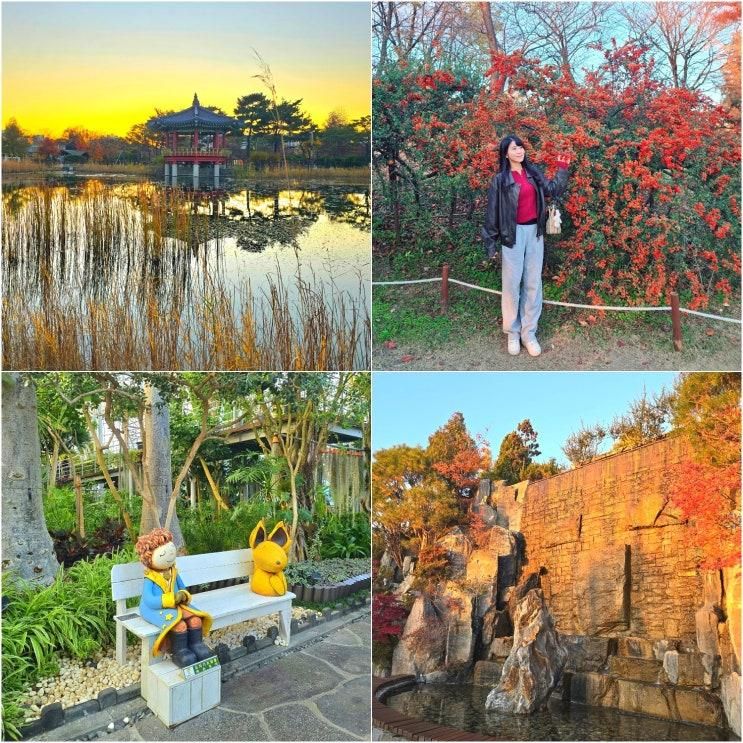 대전 당일치기 무료여행지_도심 속 정원 한밭수목원, 곤충생태관, 열대식물원이 한곳에!