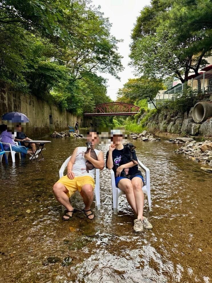 자리 대여하고 당일치기한 계곡 야유회 (묵리 하울 계곡)