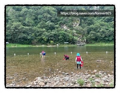 팔봉산관광지 [계곡, 다슬기 잡기]