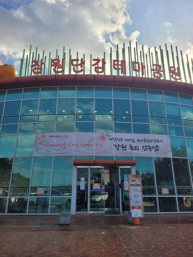 [창원]아이와갈만한곳 완전 추천 창원단감테마공원