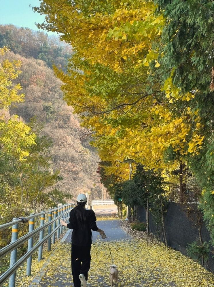 2025年 11月_(1)