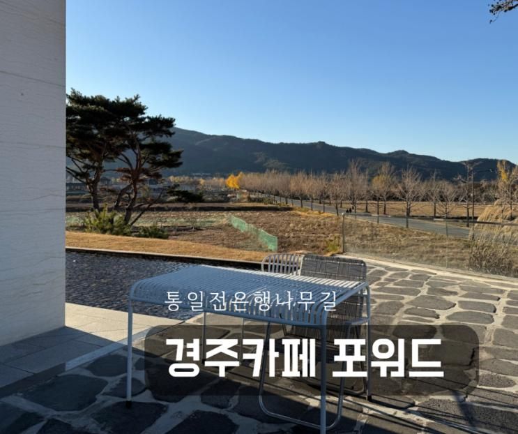경주 단풍뷰 카페 포워드 통일전 은행나무 실시간 상황