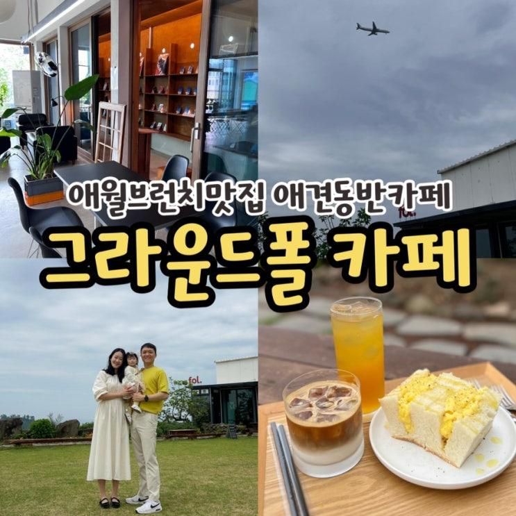 애월브런치카페 그라운드폴카페 애월애견동반가능 넓은 잔디마당