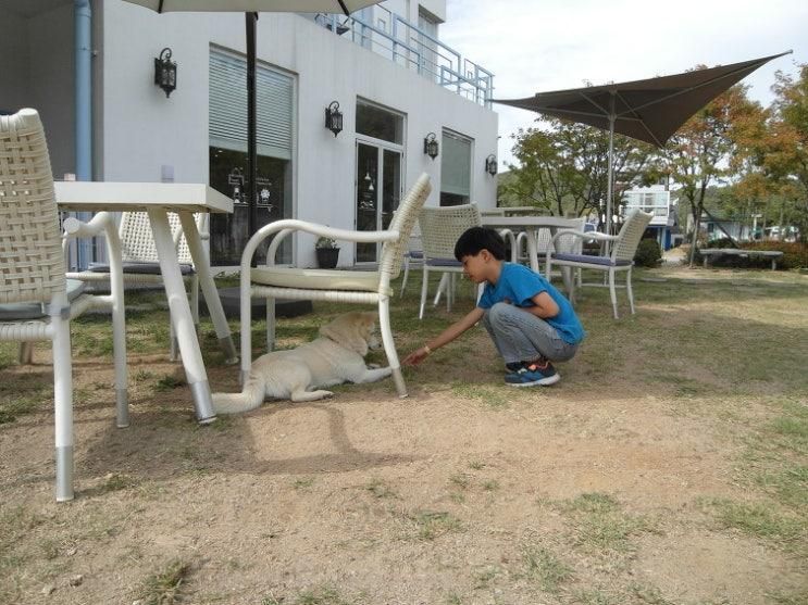 [경기 파주 여행] 헤이리 예술인 마을 아스카 게임 박물관_2015년 10월