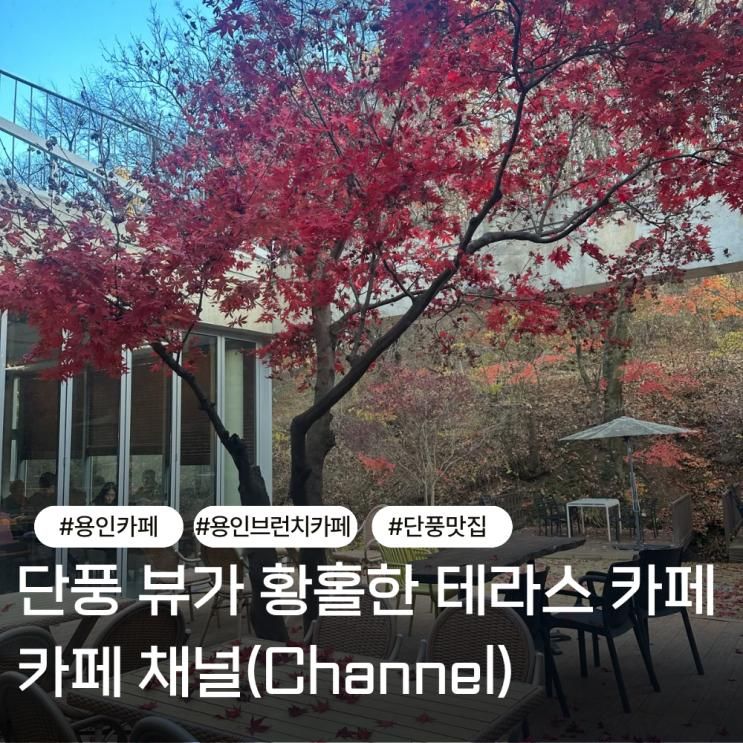 용인 카페 추천｜단풍 뷰 테라스가 예술인 힐링 브런치 카페 ‘카페 채널’