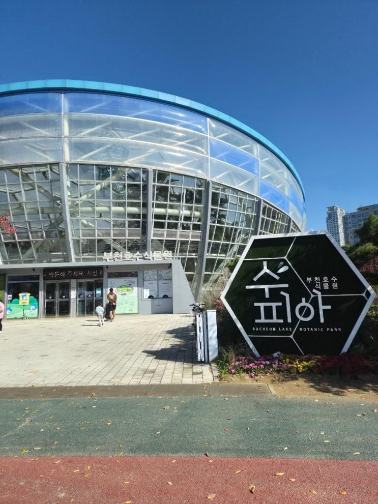 [경기 부천] 5살 아이랑 가볼만한 곳 추천! (상동 호수공원 수피아)