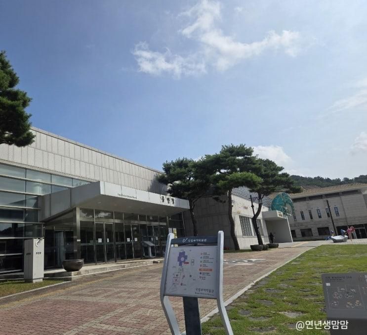 국립부여 어린이 박물관 후기