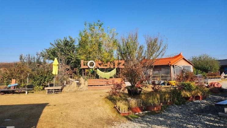 [아산국공립보물섬어린이집] 로렌츠마을에서 김장체험했어요