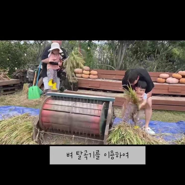 🌾 로렌츠 감성치유 시골체험 후기 🌾