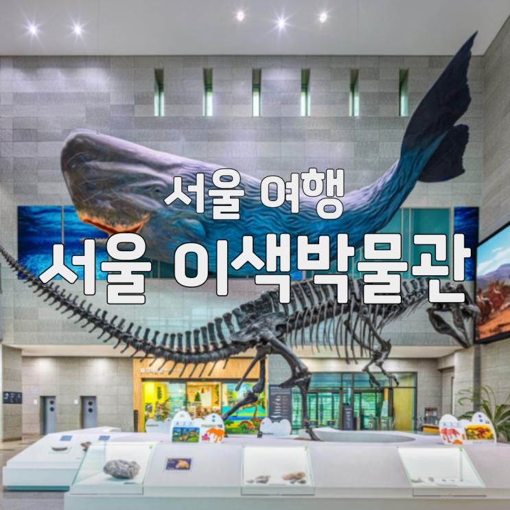 [서울근교여행] 아이와 하루종일 즐기기 더 좋은 이색 박물관 3곳