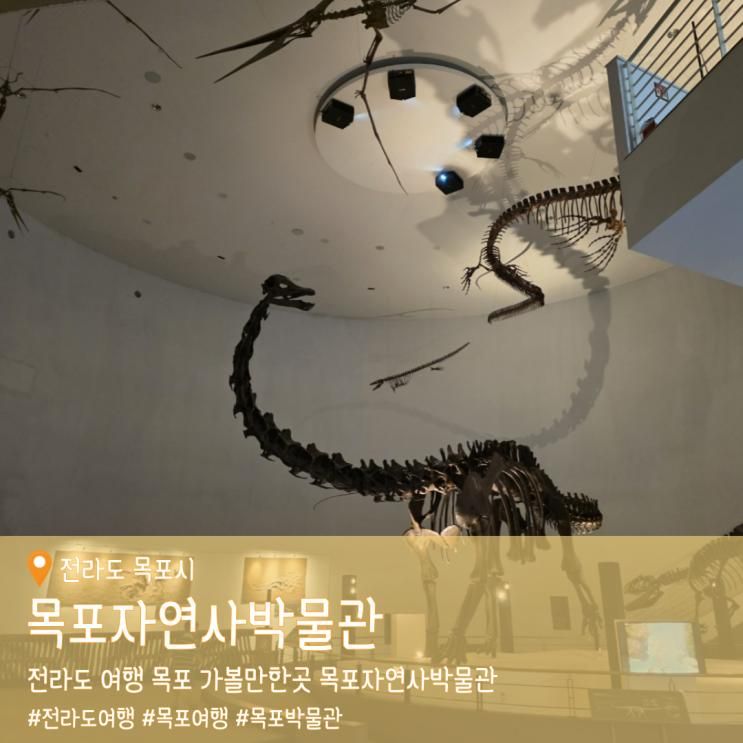 전라도 여행 목포 가볼만한곳 목포자연사박물관