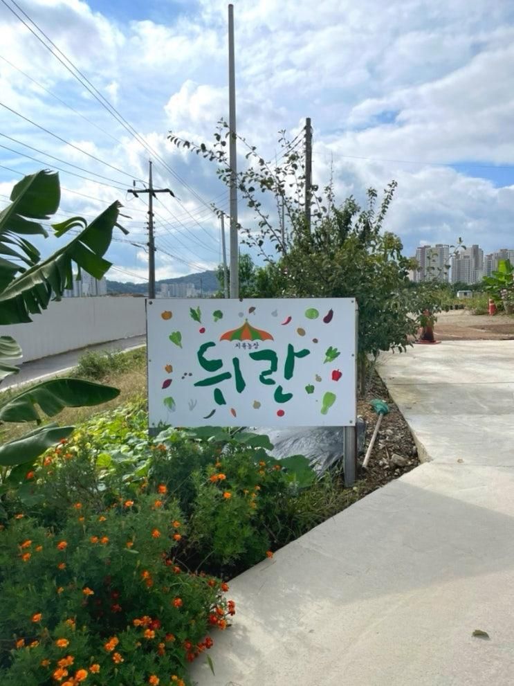 김포 농부 체험 치유농장 뒤란 | 5살·6살 아이와 밤 체험, 서울 근교 아이랑 갈만한 곳