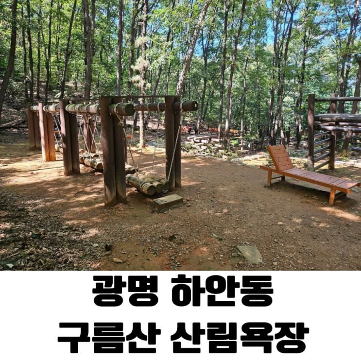 광명 구름산 산림욕장 유아숲 체험장에서 아이와 함께한 즐거운 시간