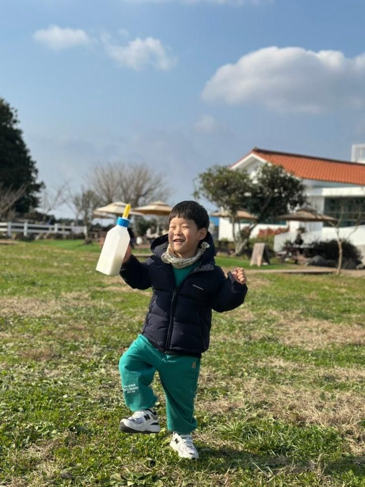 국내여행 :: 5살 아기와 12월 제주도 2주살이 7~8일차! "아침미소목장, 두루두루식당, 수목원테마파크, 제주동백키친"