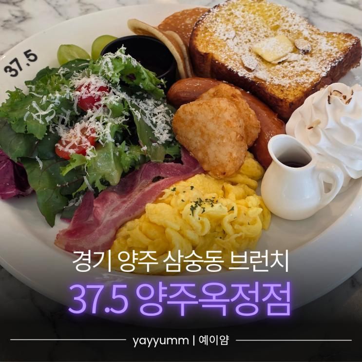 경기 양주 삼숭동 "37.5 양주옥정점" 브런치 카페 (메뉴, 주차) | 내돈내산 | 양주 브런치