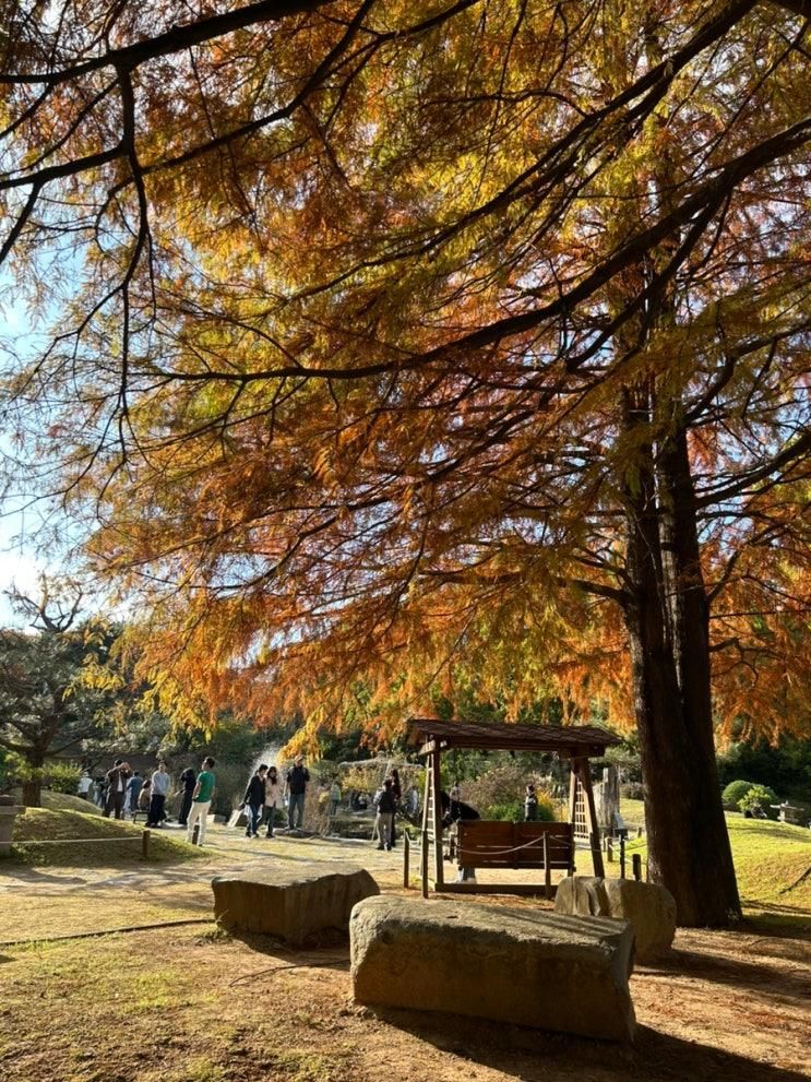 경기도 가을 단풍 명소, 경기도 오산 물 향기수목원, 아기랑 함께 단풍 보러 가기 좋은 곳 추천