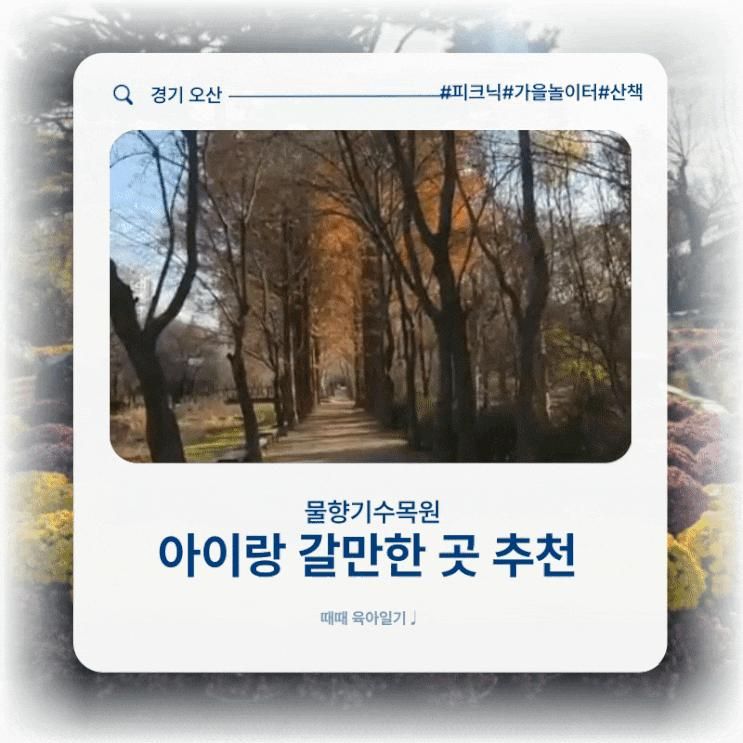 [오산] 경기도 단풍 명소 아이랑 갈만한 곳 '물향기수목원' 입장료 무료